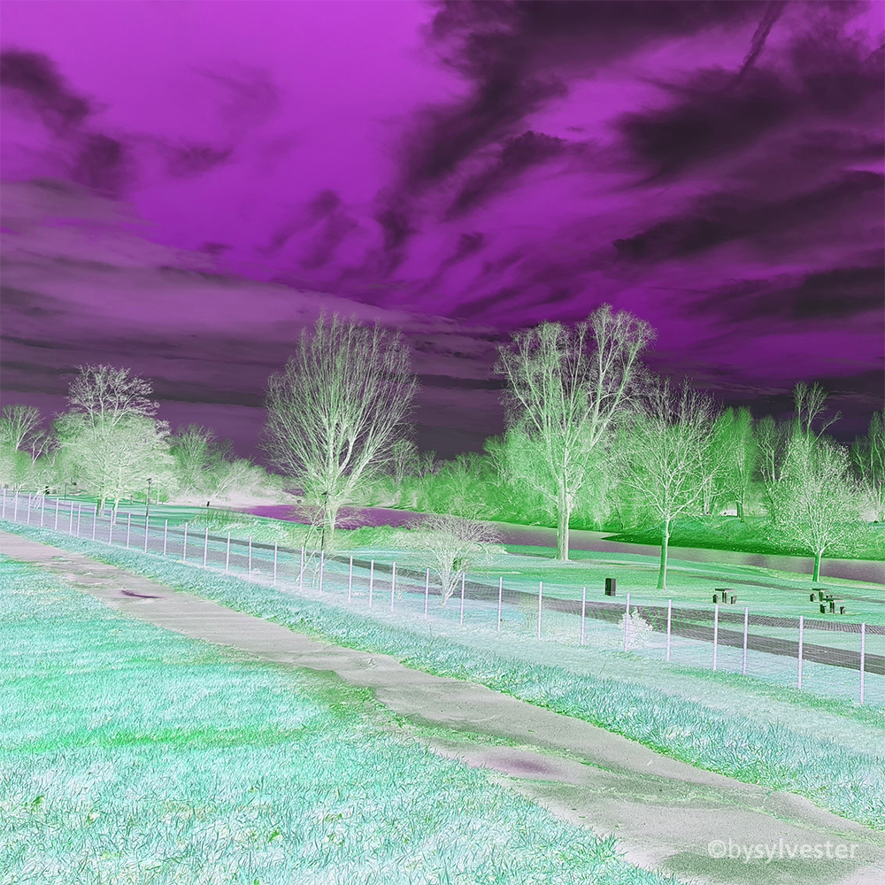 Landscape, Winter