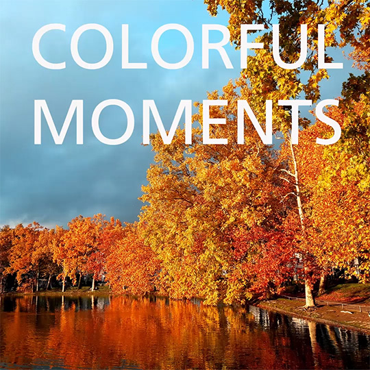 Colorful Moments
