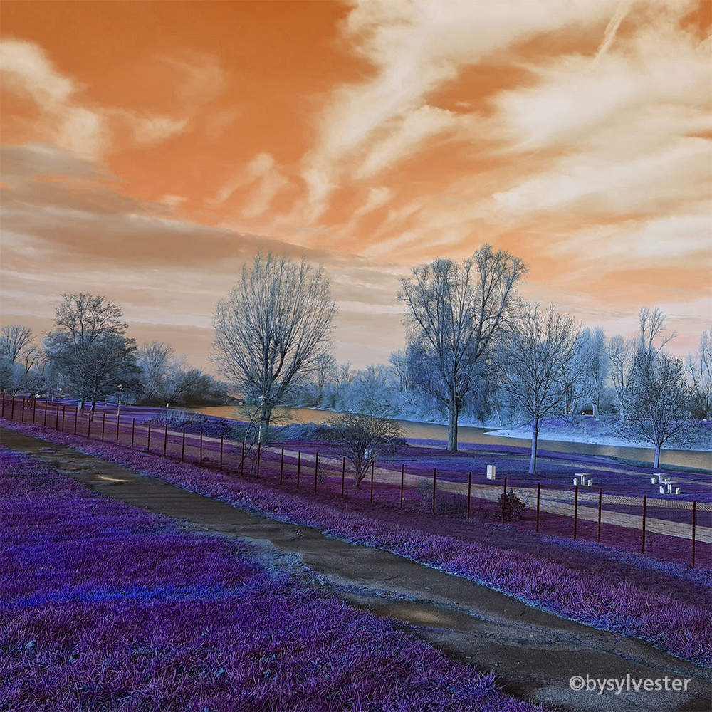 Landscape, Autumn