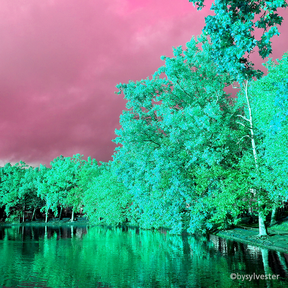 Colorful Moments IV
