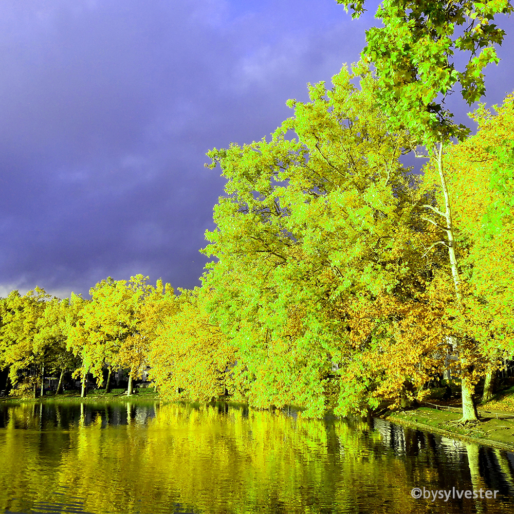 Colorful Moments III