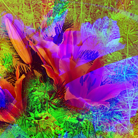 Flower Power