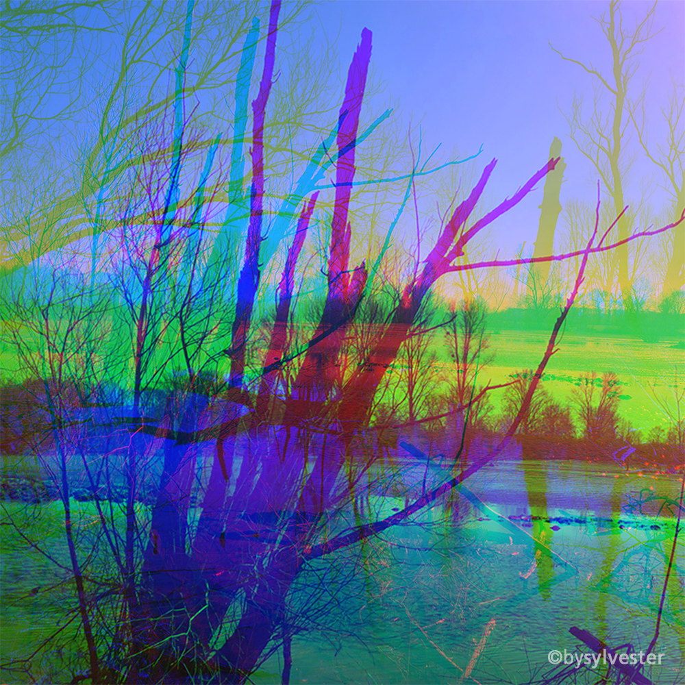 Magic Lake I