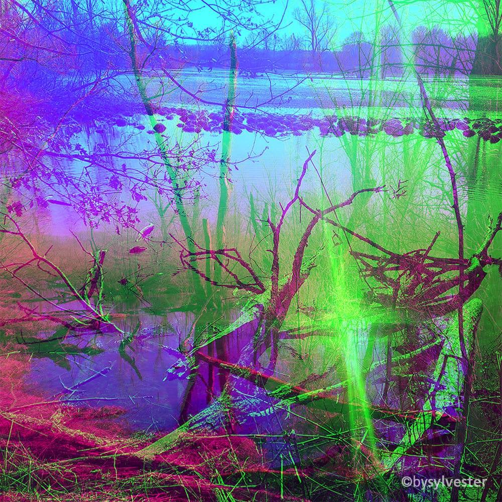 Magic Lake II