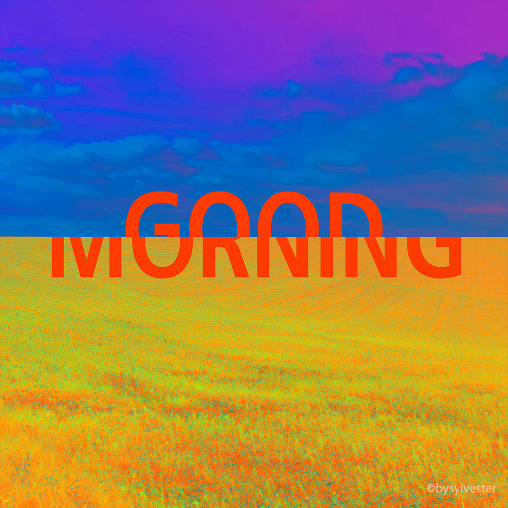 Good Morning II